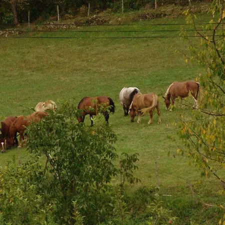 Le Clos Saint-paul - Comminges * Estadens