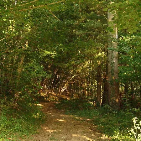 Σπίτι διακοπών Le Clos Saint-paul - Comminges