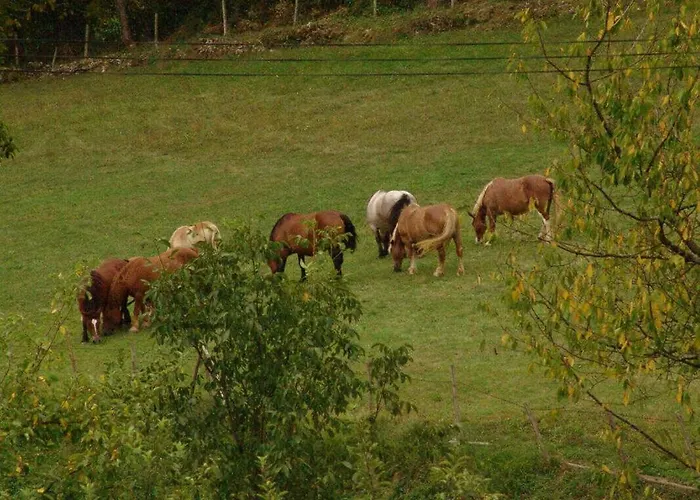 Le Clos Saint-paul - Comminges * Estadens
