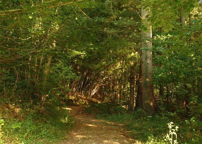 Semesterbostad Le Clos Saint-paul - Comminges